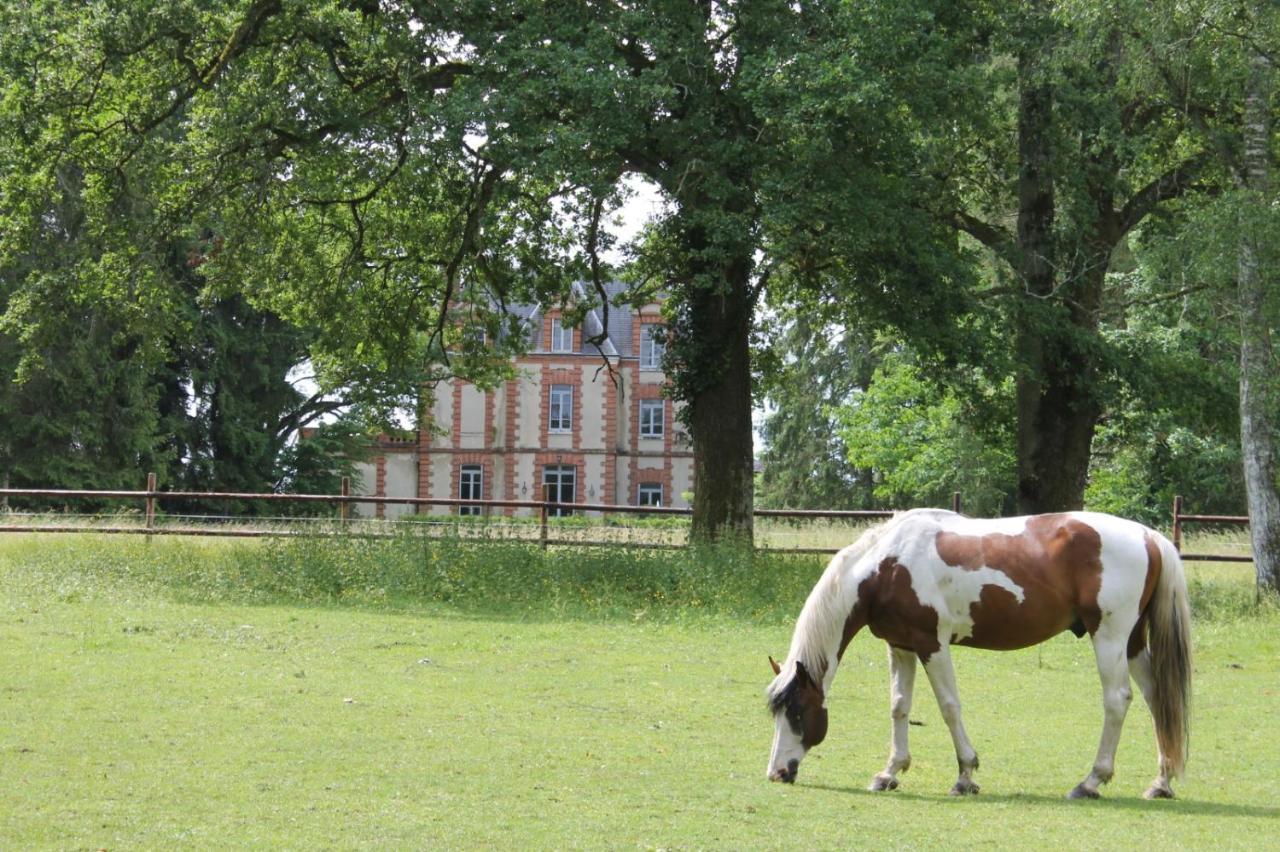 Chateau De Beauchene Chambres D'Hotes Allogny Exterior photo